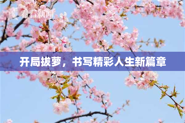 开局拔萝，书写精彩人生新篇章