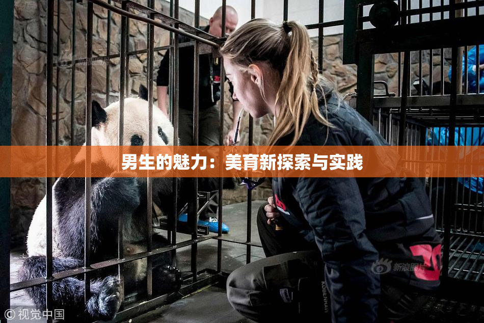 男生的魅力：美育新探索与实践