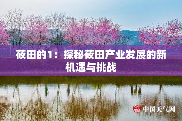 莜田的1：探秘莜田产业发展的新机遇与挑战
