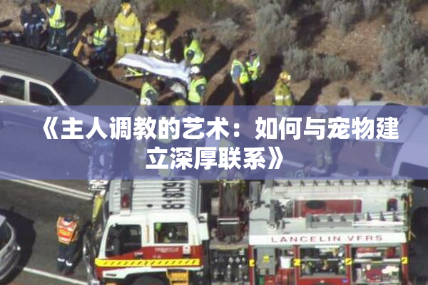 《主人调教的艺术：如何与宠物建立深厚联系》