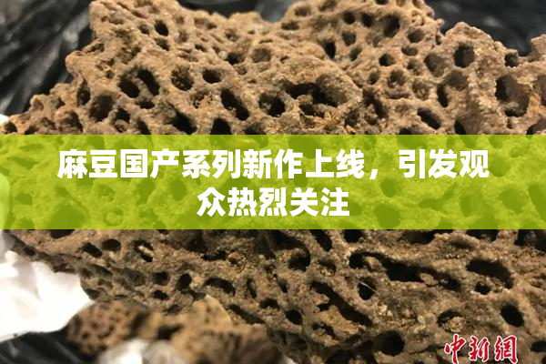 麻豆国产系列新作上线，引发观众热烈关注