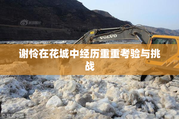 谢怜在花城中经历重重考验与挑战