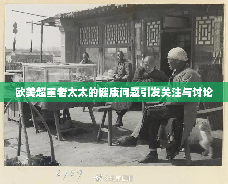 欧美超重老太太的健康问题引发关注与讨论
