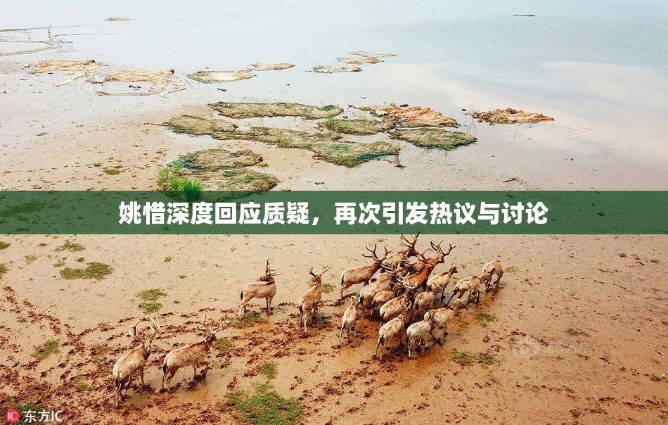 姚惜深度回应质疑，再次引发热议与讨论
