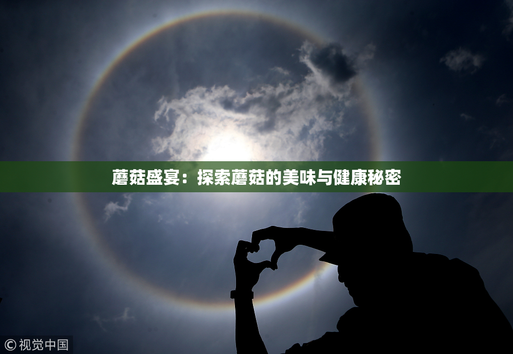 蘑菇盛宴：探索蘑菇的美味与健康秘密