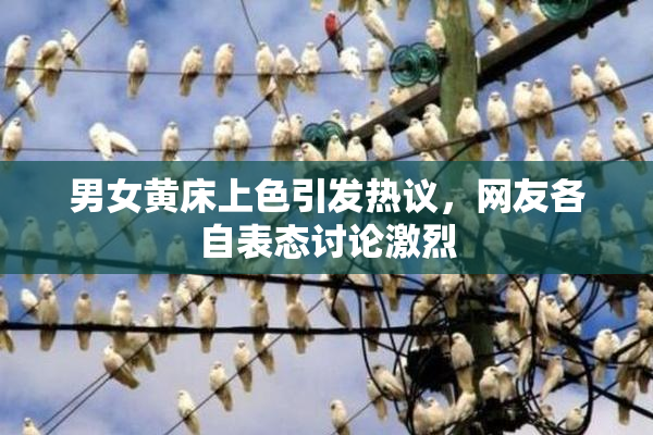 男女黄床上色引发热议，网友各自表态讨论激烈