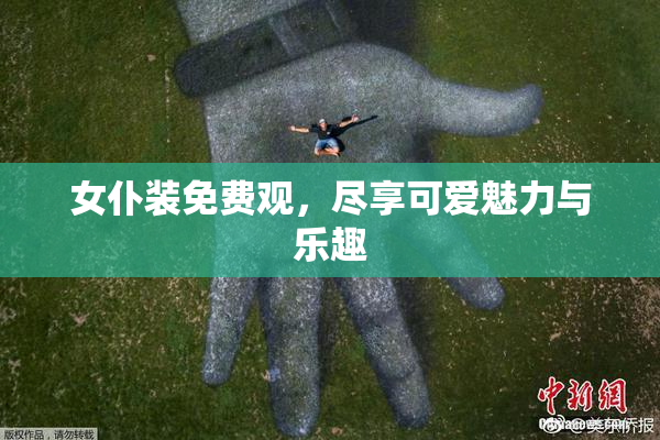 女仆装免费观，尽享可爱魅力与乐趣