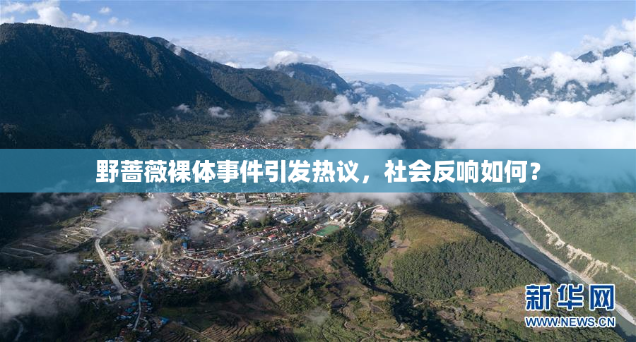 野蔷薇裸体事件引发热议，社会反响如何？