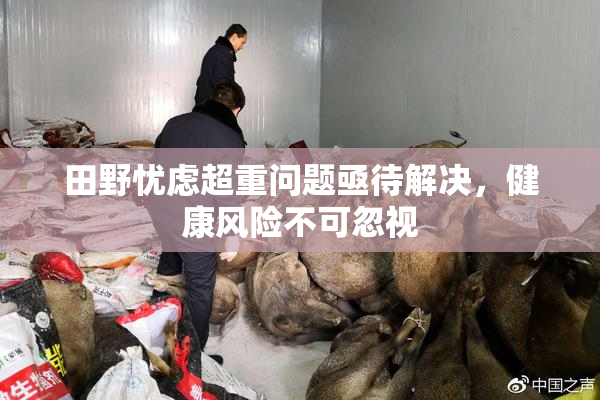 田野忧虑超重问题亟待解决，健康风险不可忽视