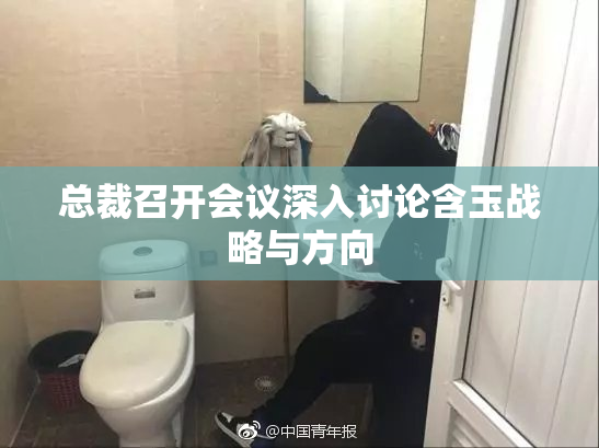 总裁召开会议深入讨论含玉战略与方向