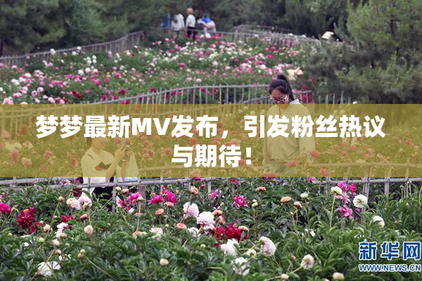 梦梦最新MV发布，引发粉丝热议与期待！
