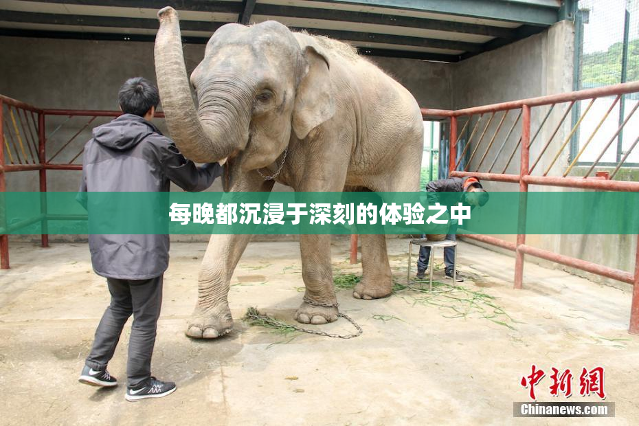 每晚都沉浸于深刻的体验之中