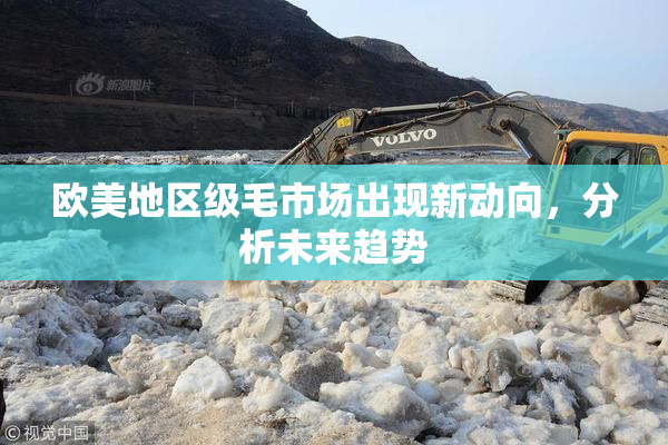 欧美地区级毛市场出现新动向，分析未来趋势