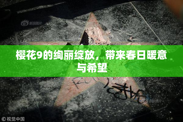 樱花9的绚丽绽放，带来春日暖意与希望