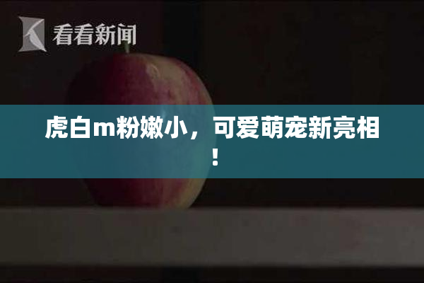 虎白m粉嫩小，可爱萌宠新亮相！