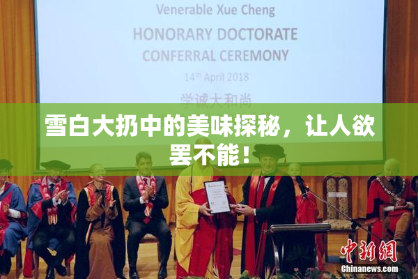 雪白大扔中的美味探秘，让人欲罢不能！