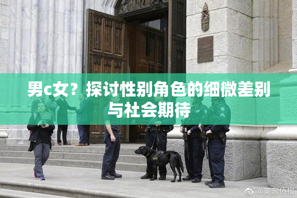 男c女？探讨性别角色的细微差别与社会期待