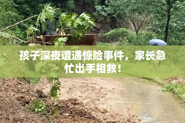 孩子深夜遭遇惊险事件，家长急忙出手相救！