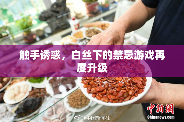 触手诱惑，白丝下的禁忌游戏再度升级