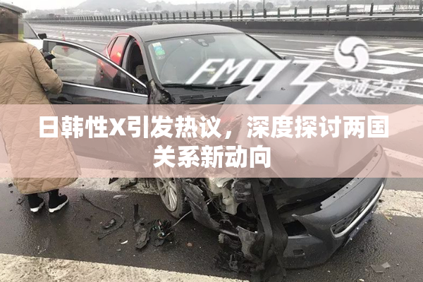 日韩性X引发热议，深度探讨两国关系新动向