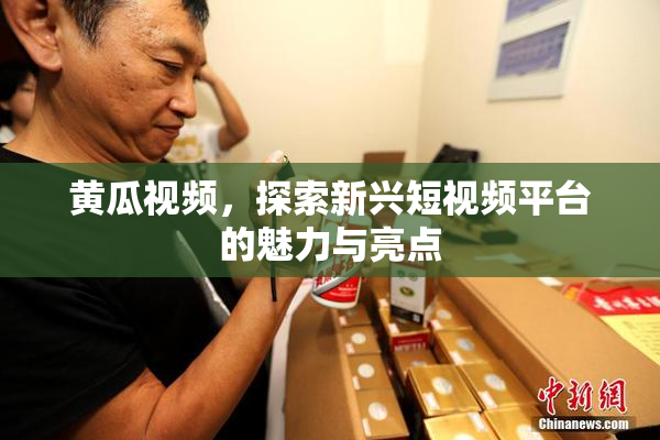 黄瓜视频，探索新兴短视频平台的魅力与亮点
