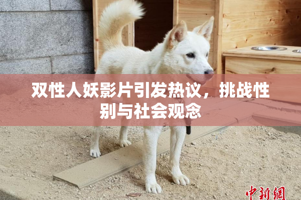 双性人妖影片引发热议，挑战性别与社会观念