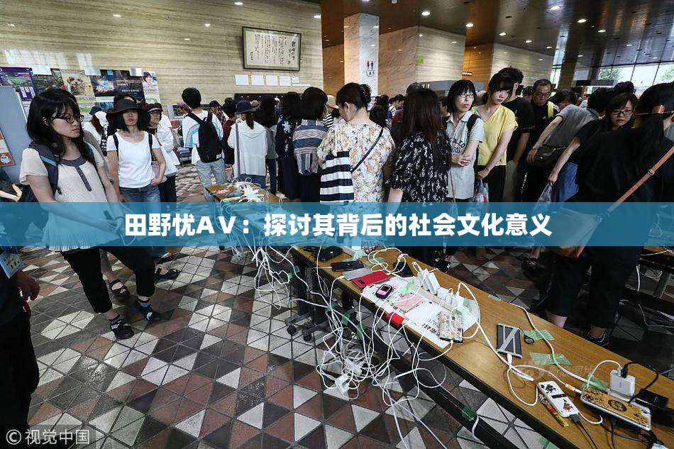 田野忧AⅤ：探讨其背后的社会文化意义