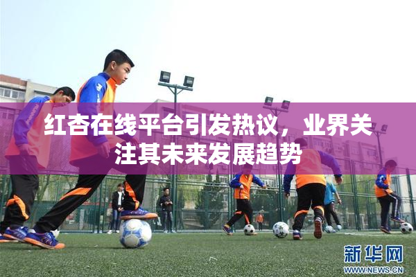 红杏在线平台引发热议，业界关注其未来发展趋势