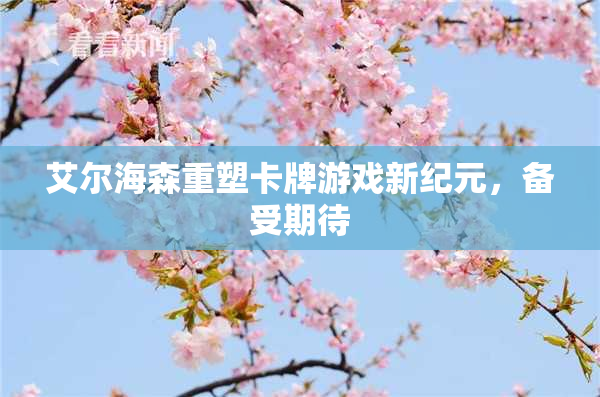 艾尔海森重塑卡牌游戏新纪元，备受期待