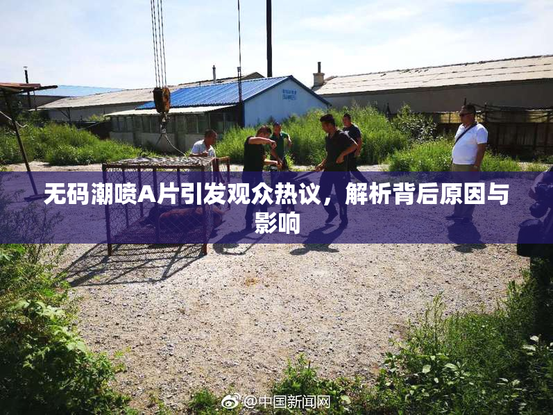 无码潮喷A片引发观众热议，解析背后原因与影响