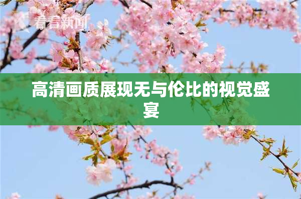 高清画质展现无与伦比的视觉盛宴