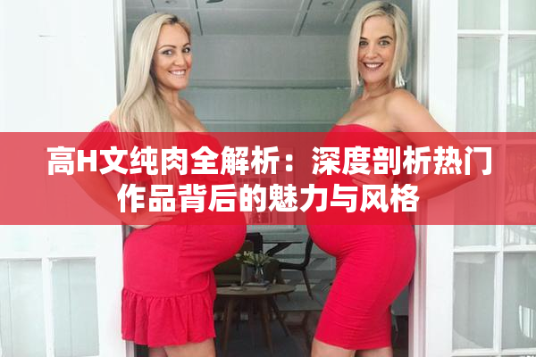 高H文纯肉全解析：深度剖析热门作品背后的魅力与风格