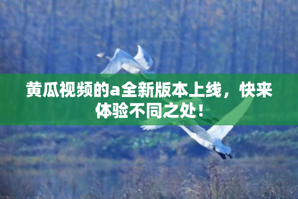黄瓜视频的a全新版本上线，快来体验不同之处！