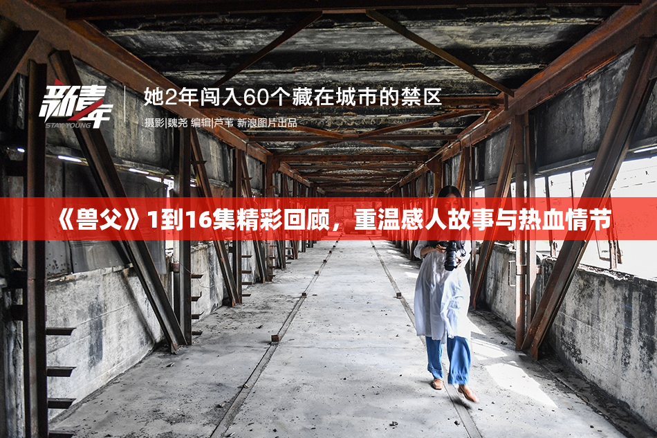 《兽父》1到16集精彩回顾，重温感人故事与热血情节