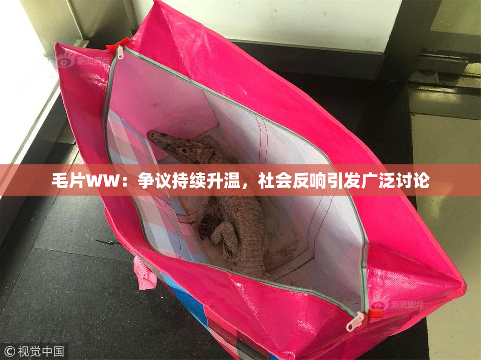 毛片WW：争议持续升温，社会反响引发广泛讨论