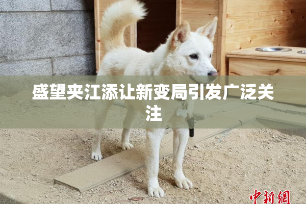 盛望夹江添让新变局引发广泛关注