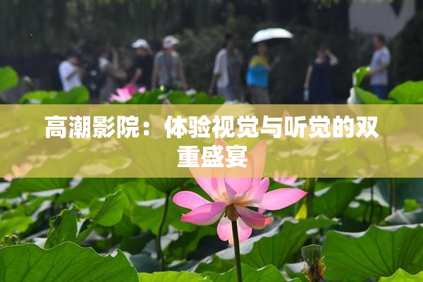 高潮影院：体验视觉与听觉的双重盛宴