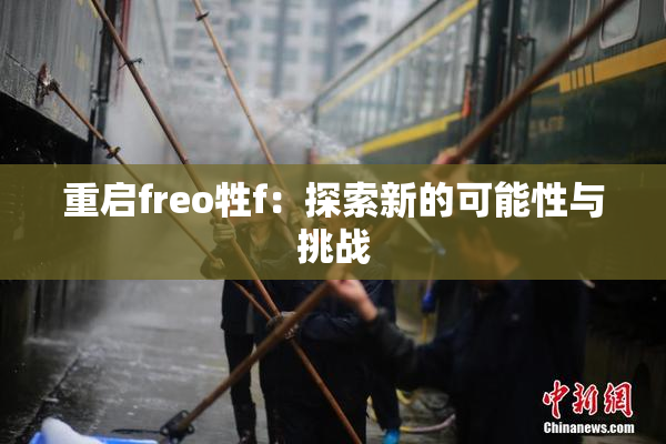 重启freo牲f：探索新的可能性与挑战