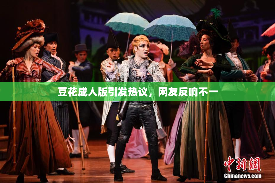 豆花成人版引发热议，网友反响不一