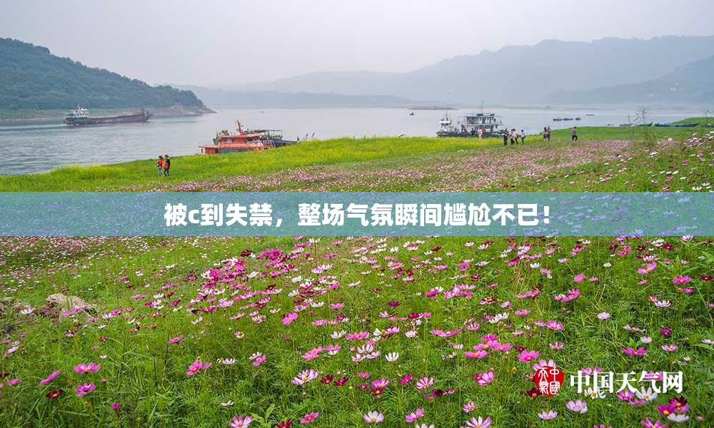 被c到失禁，整场气氛瞬间尴尬不已！