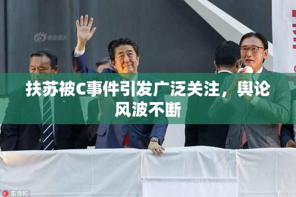 扶苏被C事件引发广泛关注，舆论风波不断