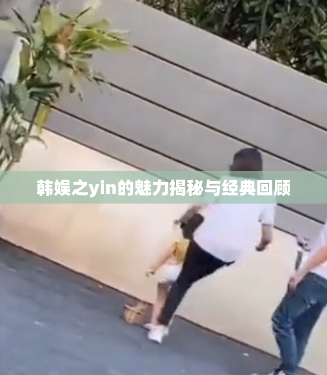 韩娱之yin的魅力揭秘与经典回顾