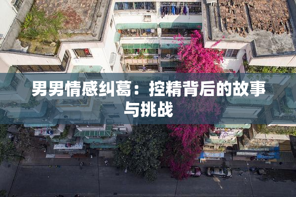 男男情感纠葛：控精背后的故事与挑战