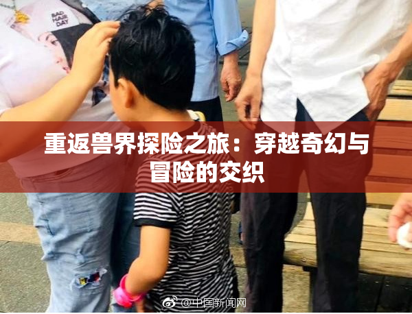 重返兽界探险之旅：穿越奇幻与冒险的交织