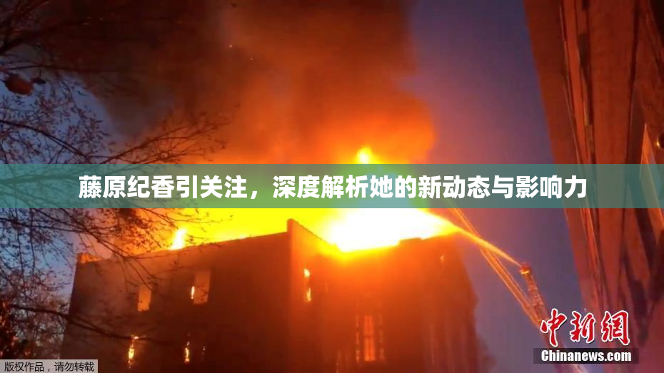 藤原纪香引关注，深度解析她的新动态与影响力