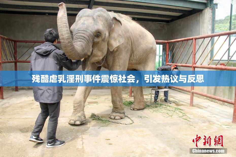 残酷虐乳淫刑事件震惊社会，引发热议与反思