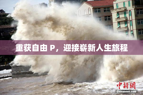 重获自由 P，迎接崭新人生旅程
