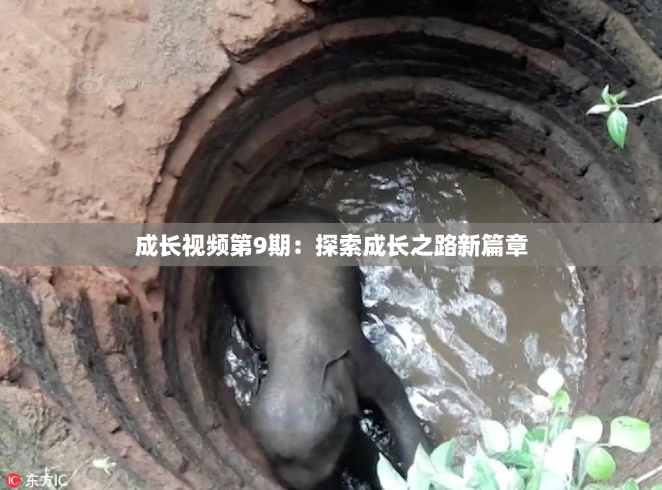 成长视频第9期：探索成长之路新篇章
