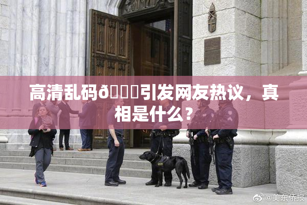 高清乱码🔞引发网友热议，真相是什么？