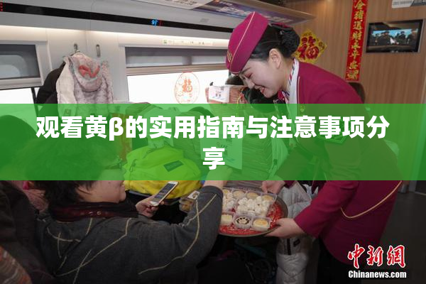 观看黄β的实用指南与注意事项分享